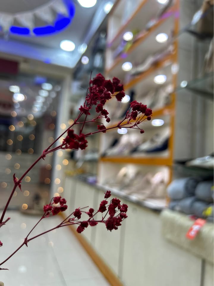 للبيع محل في كريتر المثلث بضاعة مع ديكور مطور مع العلامة التجارية